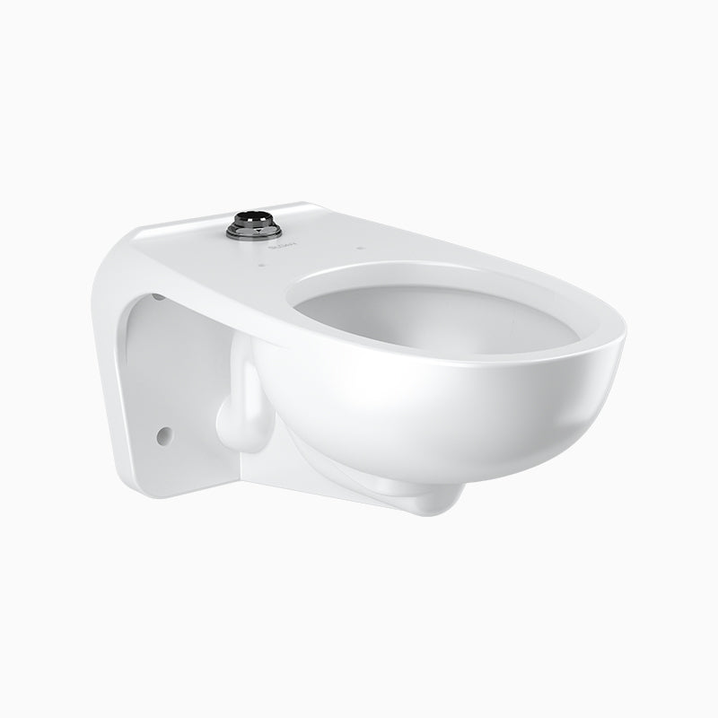 Sloan WETS2450.1012 Water Closet Combo, ST-2459 Wall-Mounted with Sloan 116