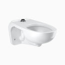 Sloan 24502003 Water Closet Combo, ST-2459 Wall-Mounted with Royal 111