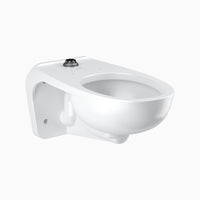 Sloan 27532003 Water Closet Combo, ST-2459A Wall-Mounted with Sloan 111