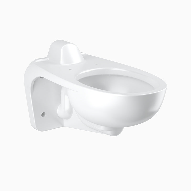 Sloan WETS2763.3001 Water Closet Combo, ST-2469STG Wall-Mounted with CX 8158