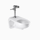 Sloan WETS-2750.1001-STG Water Closet Combo, ST-2459STG Top Spud with Royal 111-1.28