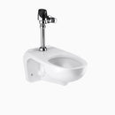 Sloan WETS-2452.1201 Water Closet Combo, ST-2459 Wall-Mounted Top Spud with SOLIS 8111