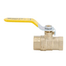 Watts LFFBV-4B 1 1/4 Valve for Plumbing