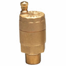 Watts FV-4M1 1/2 1/2 In Automatic Vent Valve, Brass