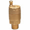 Watts FV-4M1 1/2 1/2 In Automatic Vent Valve, Brass