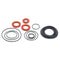 watts RK 919-RT 1 1/4-1 1/2 Complete Valve Rubber Parts Kit