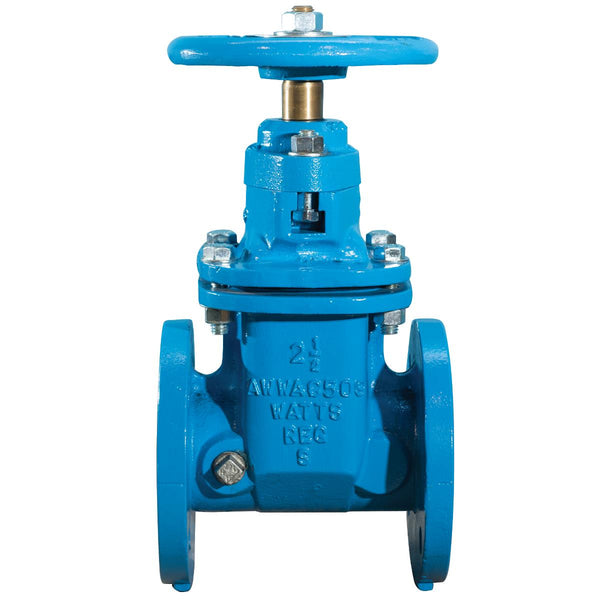 Watts 406-NRS-RW 2 1/2 Valve - Plumbing Equipment