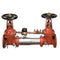 Watts 757DCDA-OSY-GPM 6 Blackflow preventer for Plumbing