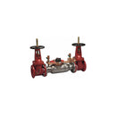 Watts 774DCDA-LF-LM 2 1/2 Blackflow preventer