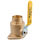 Watts IPF-S-M1 1 Valve for Plumbing