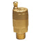 Watts Air Vent Valve, Fem Npt Connections