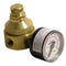 Watts LF560G-0-125 1/8 Pressure Regulator for Plumbing