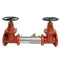 Watts 757-DNRS 3 Blackflow preventer