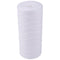 Watts 20" Full Flow Sediment Wound Filter