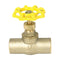 Watts LFSS 1/2 Valve for Plumbing