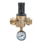 Watts LFN45BM1-DU-EZ-GG 3/4 Pressure Regulator for Plumbing