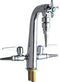 Chicago Faucets Laboratory Dual Service 1332-E22E7-204CP