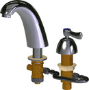 Chicago Faucets Lavatory Faucet 405-VHE66CWallB