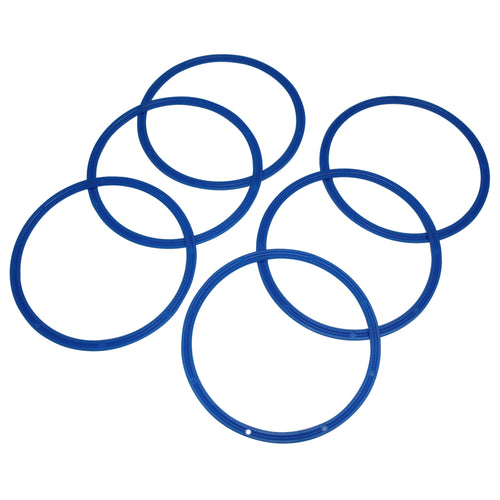 Sloan Filter Ring (6 pack, price per piece) 5301283