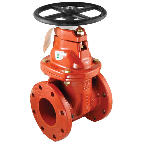 FEBCO NRS-GV 10 Valve - Plumbing Equipment