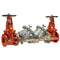 FEBCO 856STDCDA-DOSY-GPM 2 1/2 Blackflow preventer