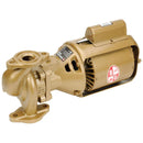 Bronze Pump w/ Single Phase Motor 1/6" HP 100 BNFI
