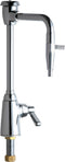 Chicago Faucets Laboratory Sink Faucet 928-VRE17-369CP