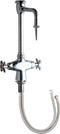 Chicago Faucet Laboratory Sink Faucet 930-VR205CP