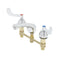 T&S Brass B-2990-WH4 Lavatory Faucet, Concealed Body