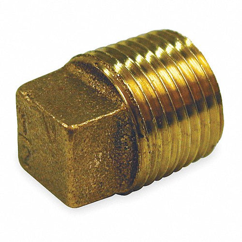 2" Brass Plug