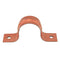 Jones Stephens H15100 1CPS 1 Two Hole Copper Clad Pipe Strap (100/Box)