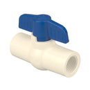 Marketing 2" TxT Ball Valve