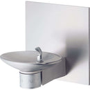 Halsey Taylor 7434004661 OVL-II Single Fountain Non-Filtered