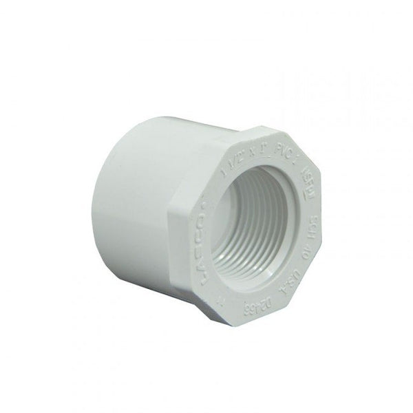 P40 1-1/2" x 1/2" Bushing Spig x Thread