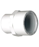 P80 1-1/2" Adapter S x F