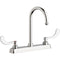 Chicago Faucets 8'' Workboard Faucet W8D-GN2AE1-317ABCP