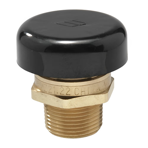 Watts LFN36M1 3/4 Valve for Plumbing