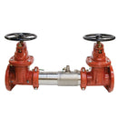 Watts 757-OSY-GXG 4 Blackflow Preventer