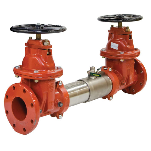 Watts 757-DNRS 2 1/2 Blackflow Preventer