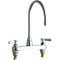 Chicago Faucets Sink Faucet 1100-GN8AE3-369AB