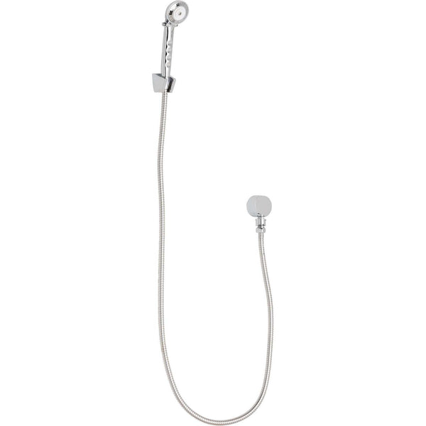 Chicago Faucets Hand Shower Only 150-ALCP