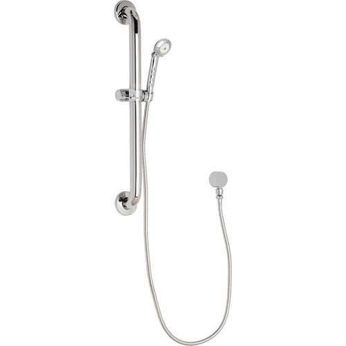 Chicago Faucets Hand Shower Only 152-ALCP