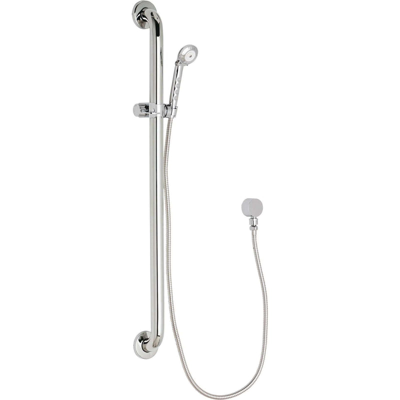 Chicago Faucets Hand Shower Only 154-ALCP