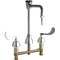 Chicago Faucets Laboratory Faucet 201-AGN2BVBE7-317