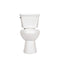 Zurn 2-Piece Siphon Jet Toilet, 1.28 GPF, Elongated, ADA Height, Extra Large Footprint, White Vitreous China Z5555-K