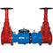 Zurn 12" 350 Double Check Valve Backflow Preventer, with OS&Y Gate Valves 12IN-350OSY