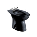 TOTO Piedmont Single Hole Deck Mounted Faucet Bidet, Ebony BT500AR