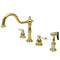 Kingston Brass KB1792PLBS Wsp Kitchen Faucet, Polished Brass